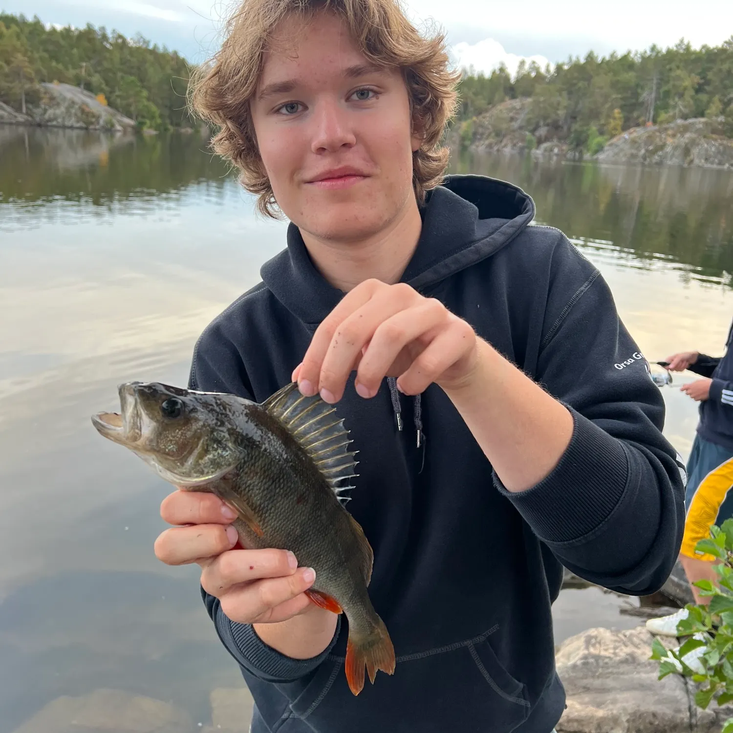 European perch caught on Fishbrain