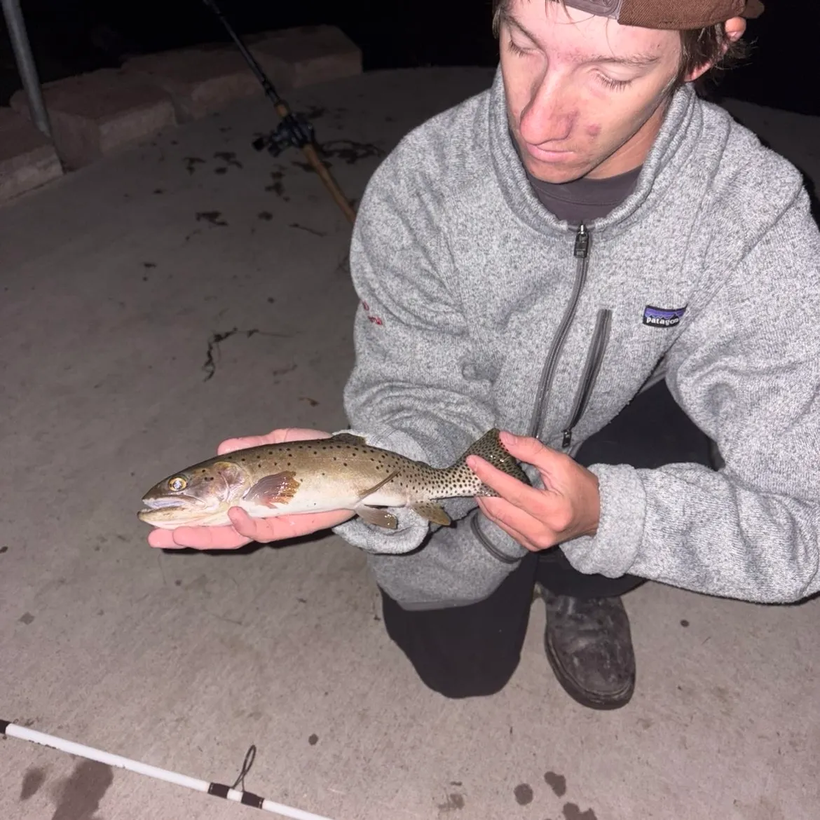 Cutthroat trout caught on Fishbrain
