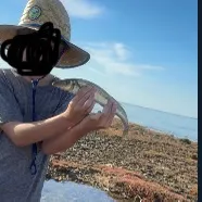 The most recent King George whiting catches on Fishbrain