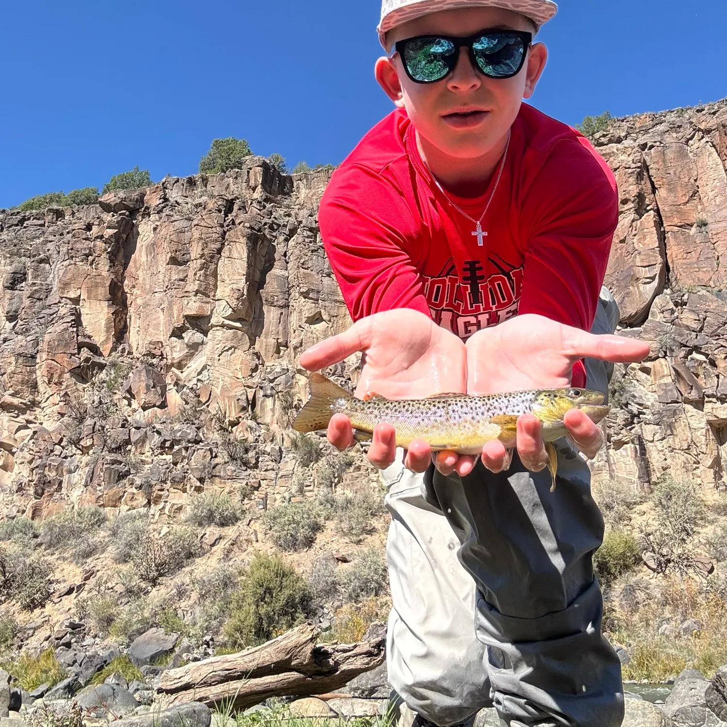 Brown trout caught on Fishbrain