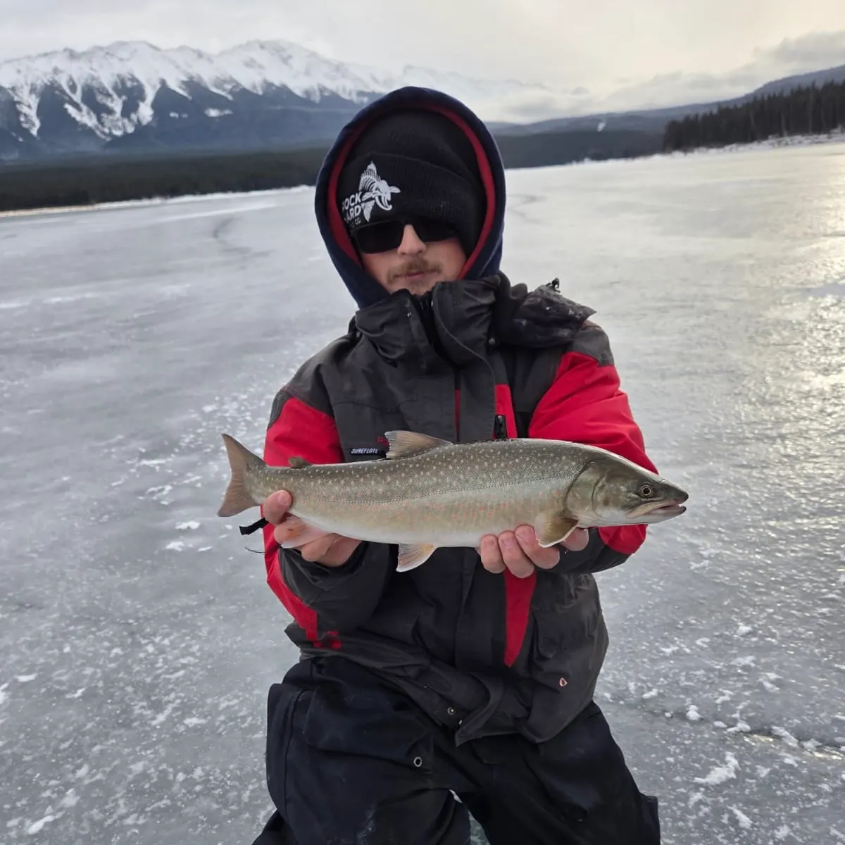 The most recent Bull trout catches on Fishbrain