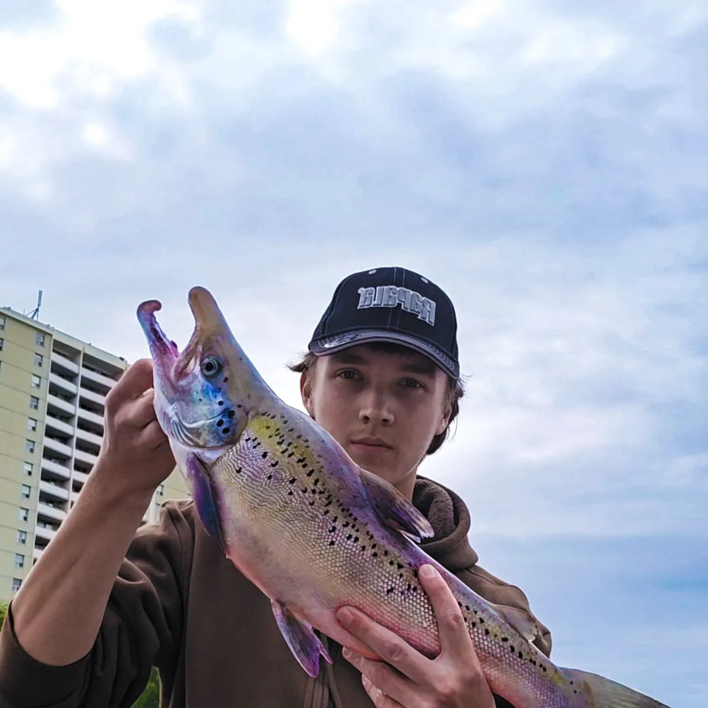 The most recent Landlocked atlantic salmon catches on Fishbrain
