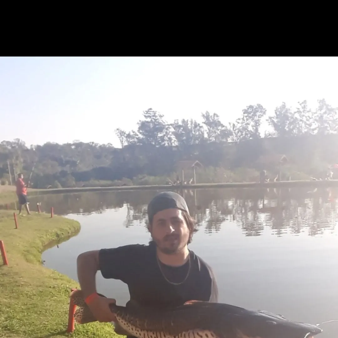 The most recent Sorubim hybrid catches on Fishbrain