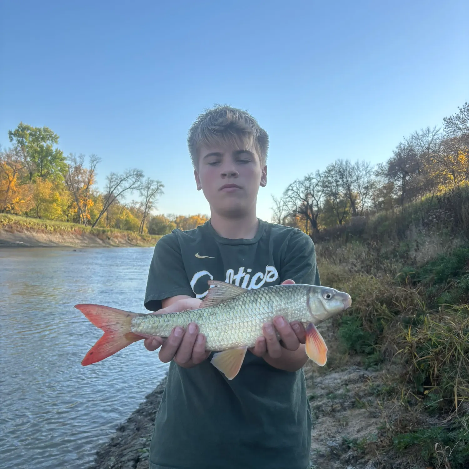 Shorthead redhorse caught on Fishbrain