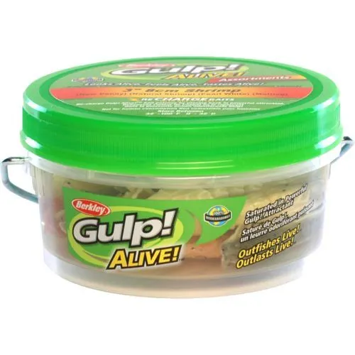 Alive! 3" Shrimp Small Bucket