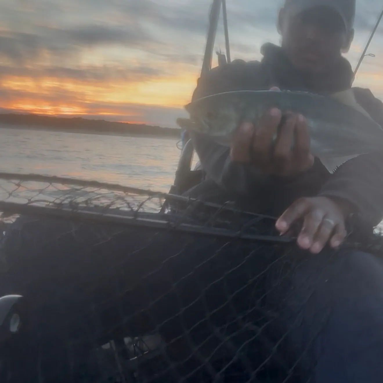 Bluefish caught on Fishbrain