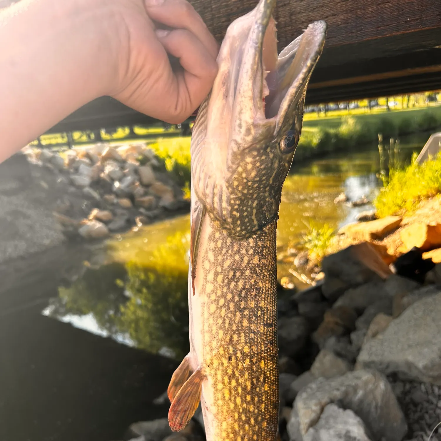 catch