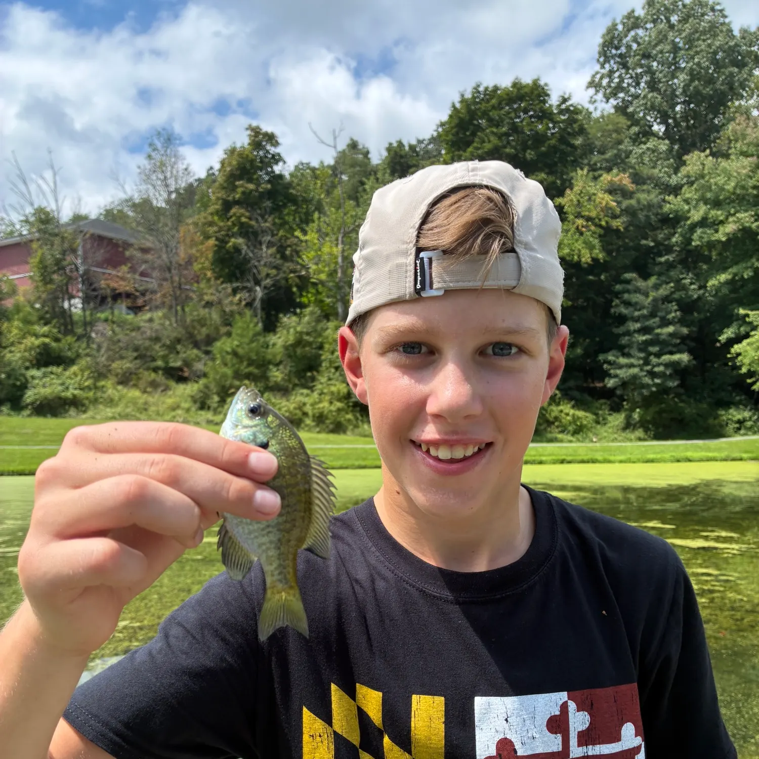 Bluegill caught on Fishbrain