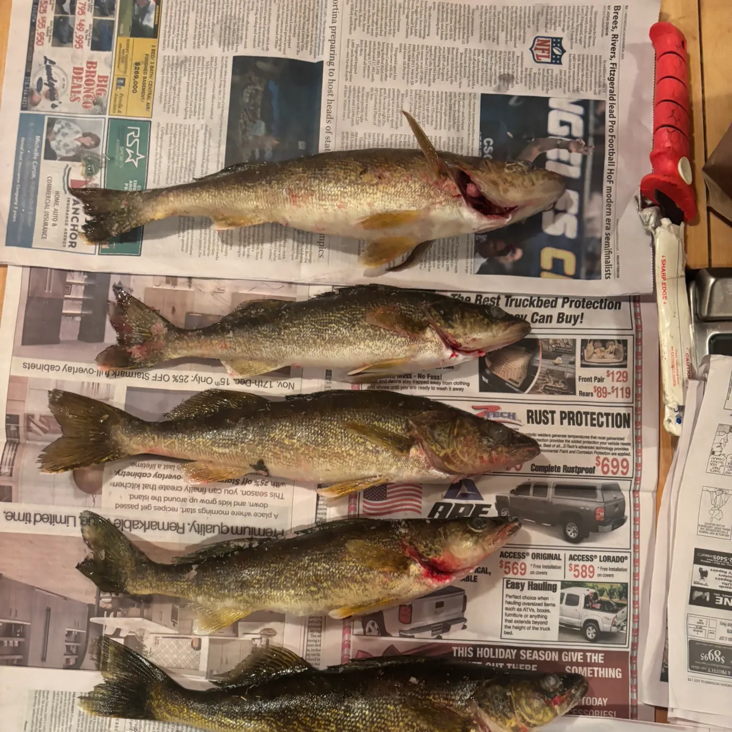 recently logged catches