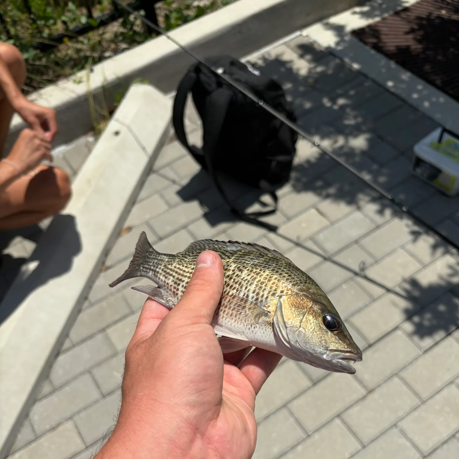 catch