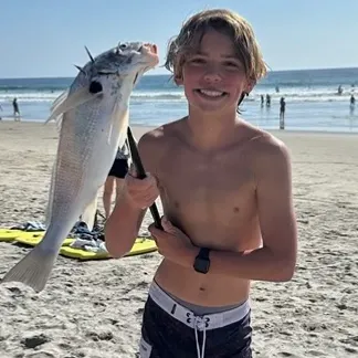Spotfin croaker caught on Fishbrain