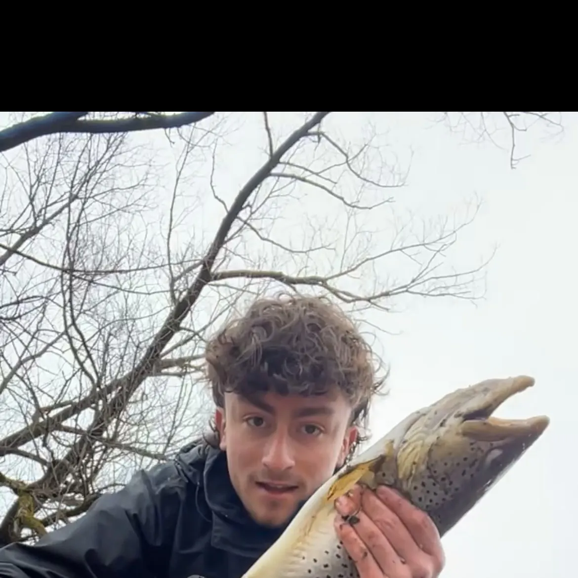 Brown trout caught on Fishbrain