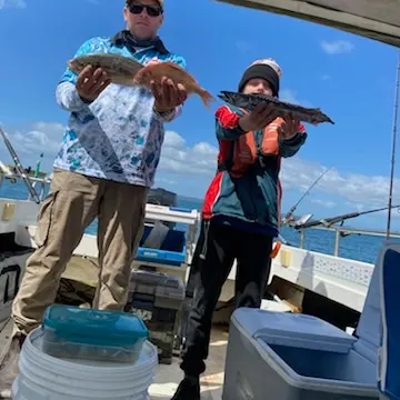 The most recent Snoek catches on Fishbrain