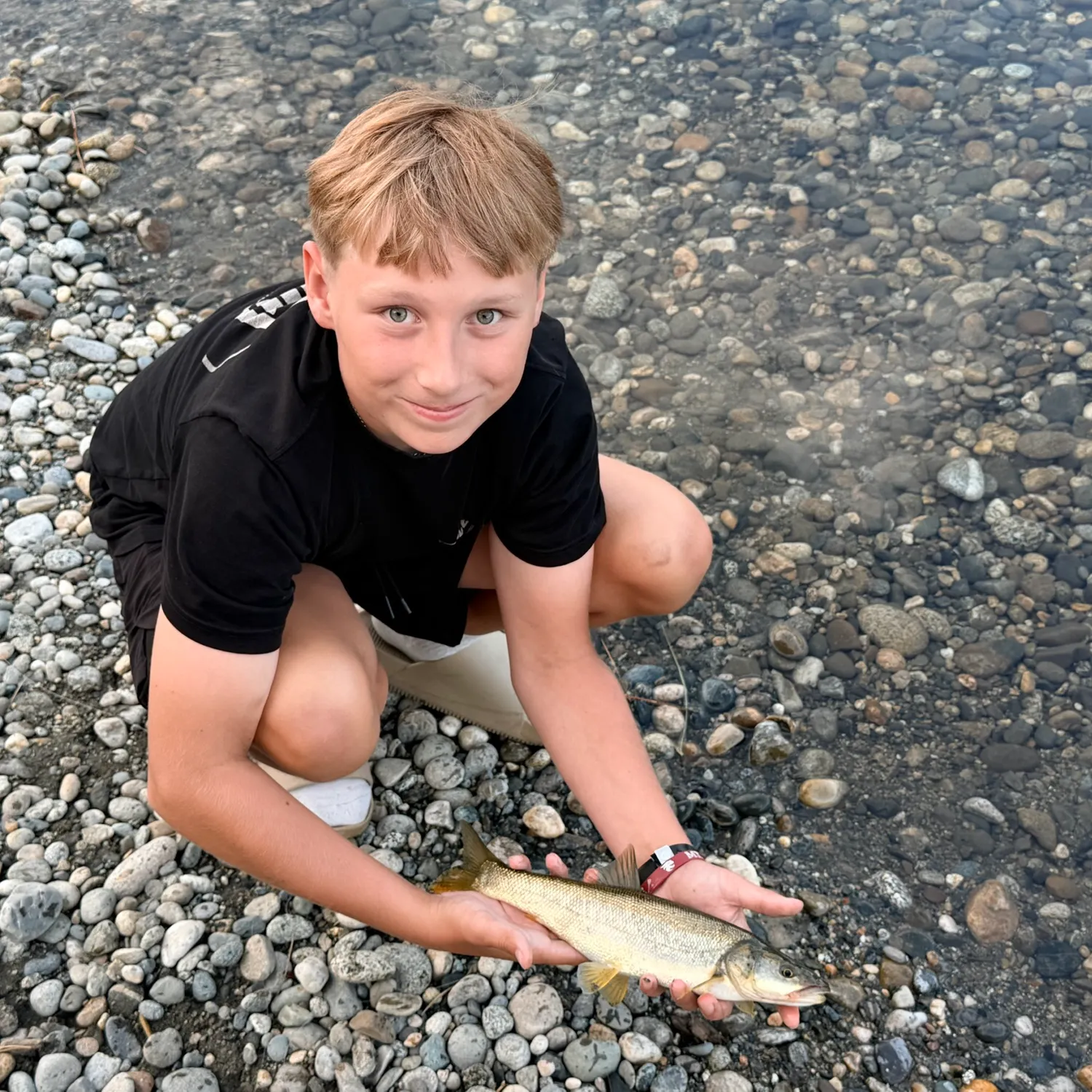 The most recent Mountain whitefish catches on Fishbrain