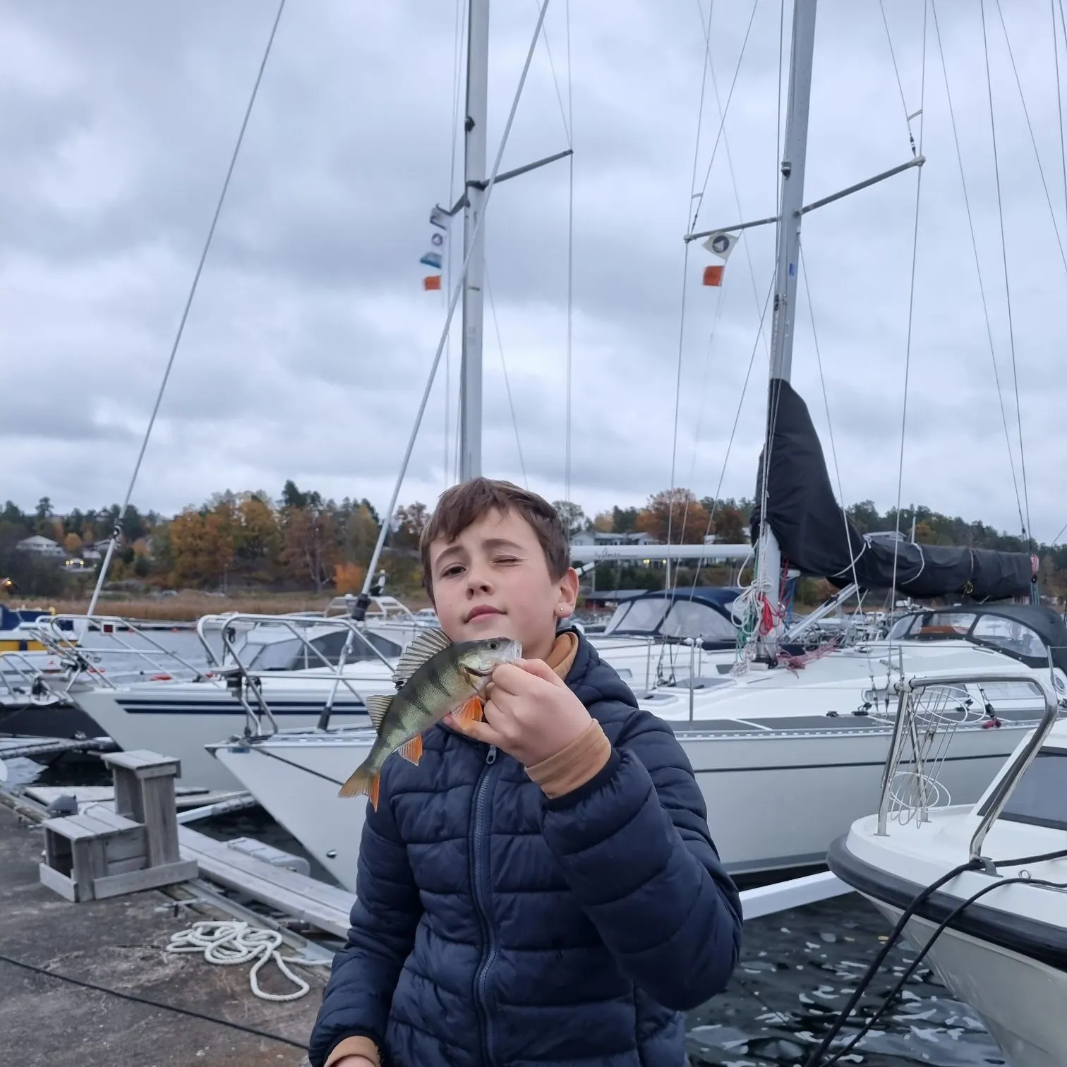 European perch caught on Fishbrain