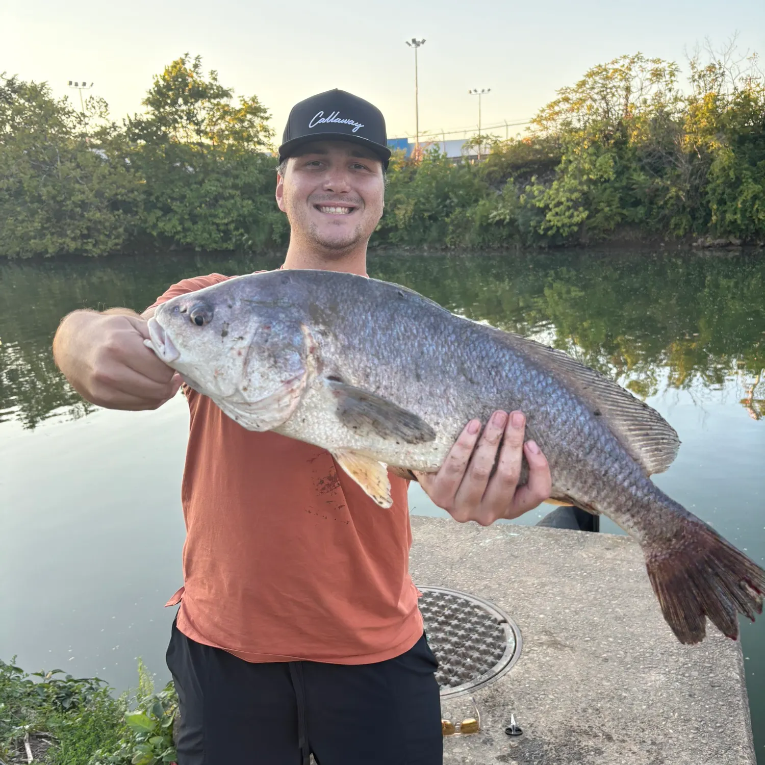 Freshwater drum caught on Fishbrain