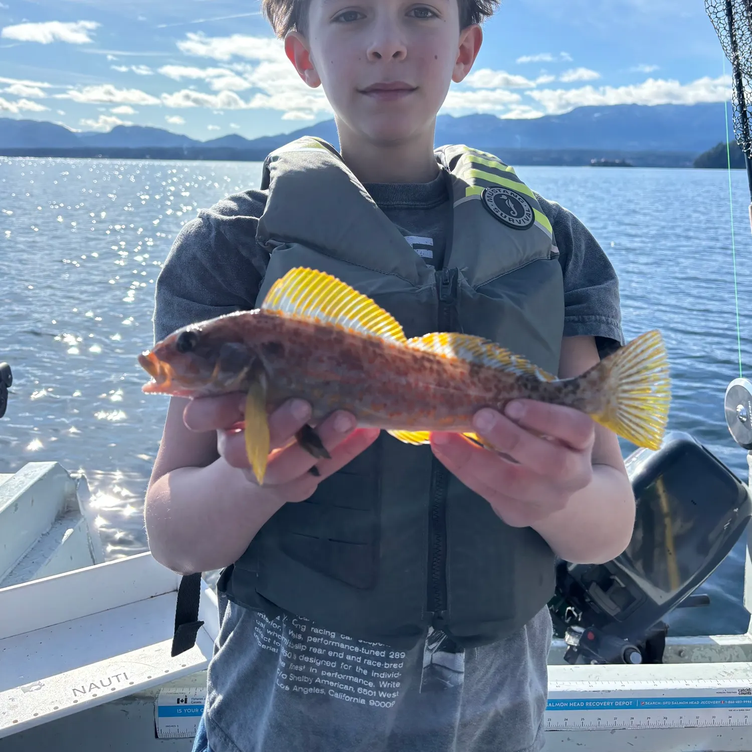 The most recent Kelp greenling catches on Fishbrain