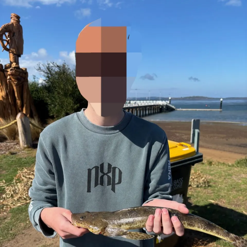 The most recent Rock flathead catches on Fishbrain