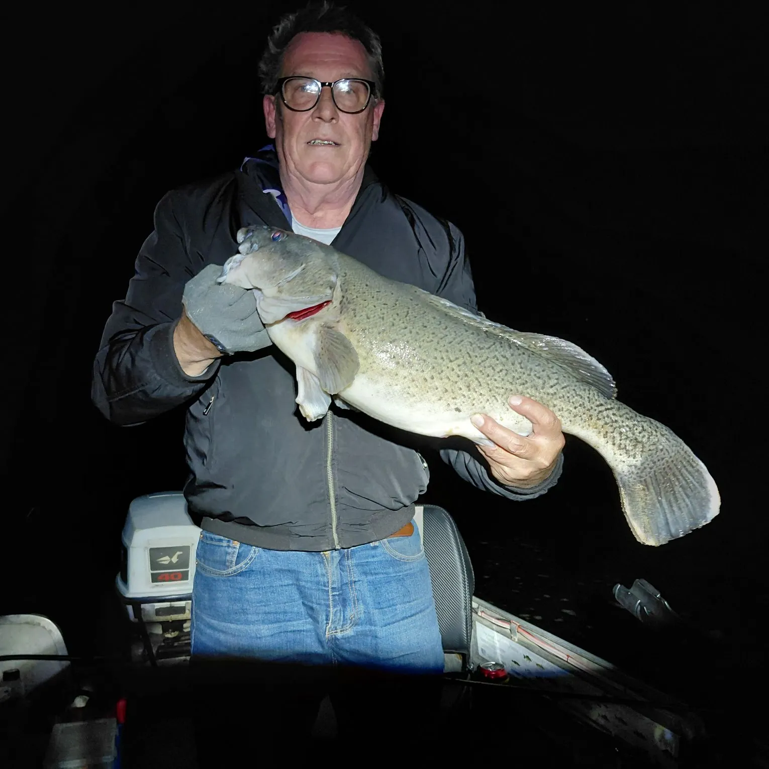 The most recent Trout cod catches on Fishbrain