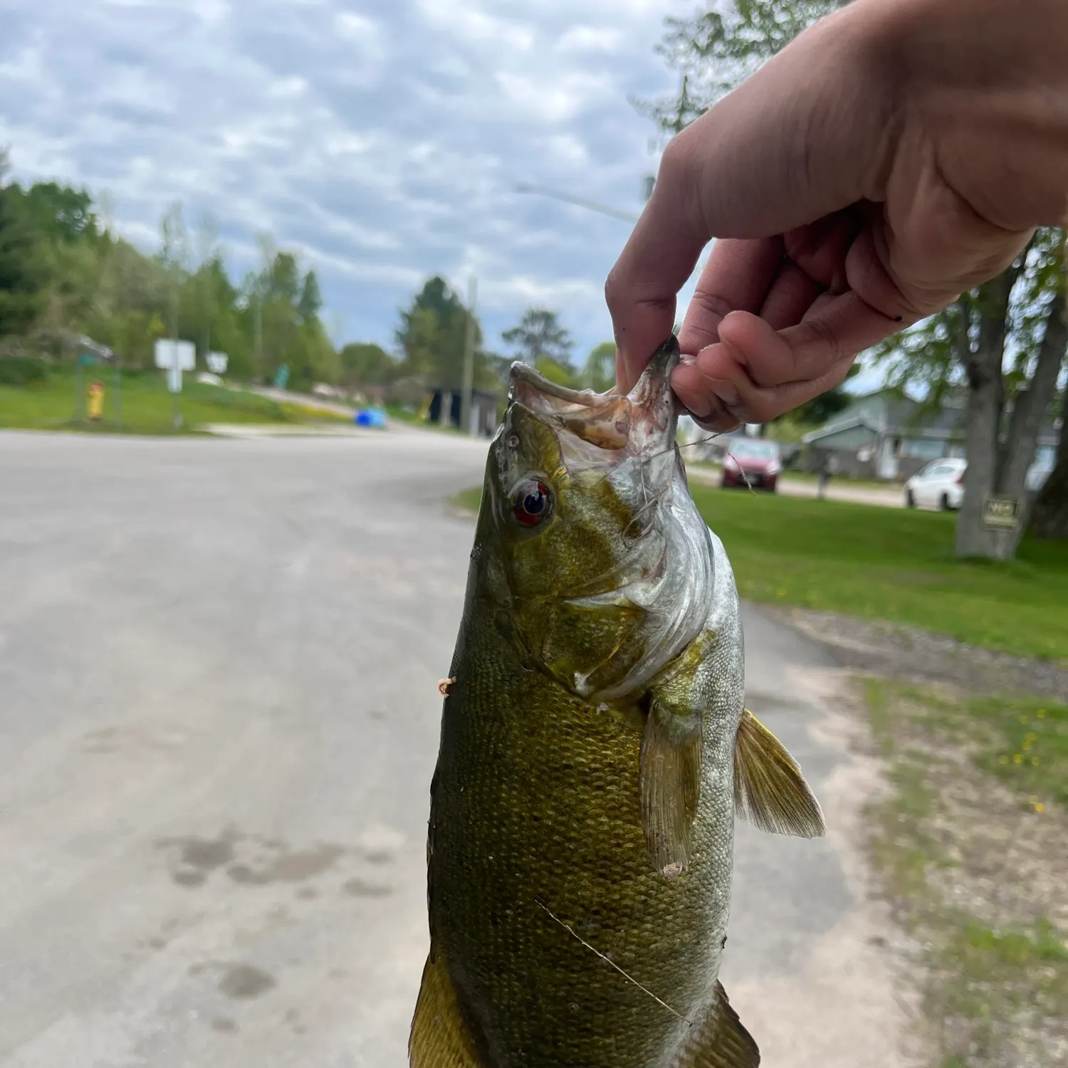 catch