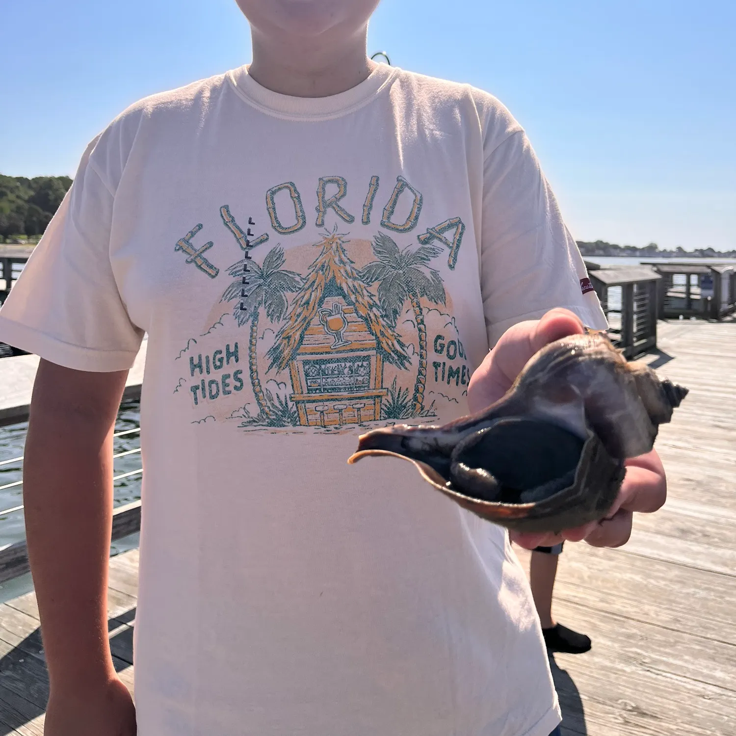 The most recent Queen conch catches on Fishbrain