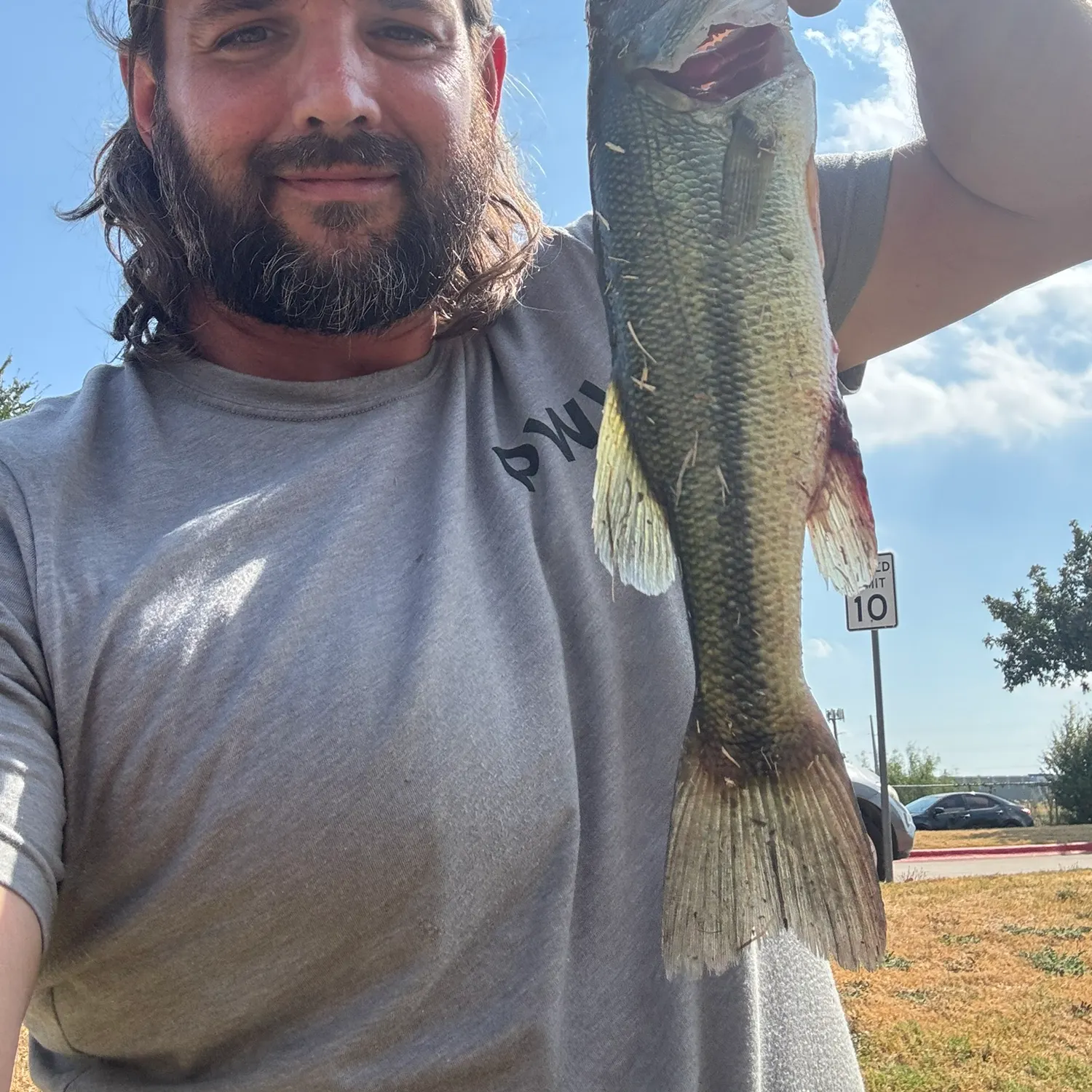 Largemouth bass caught on Fishbrain