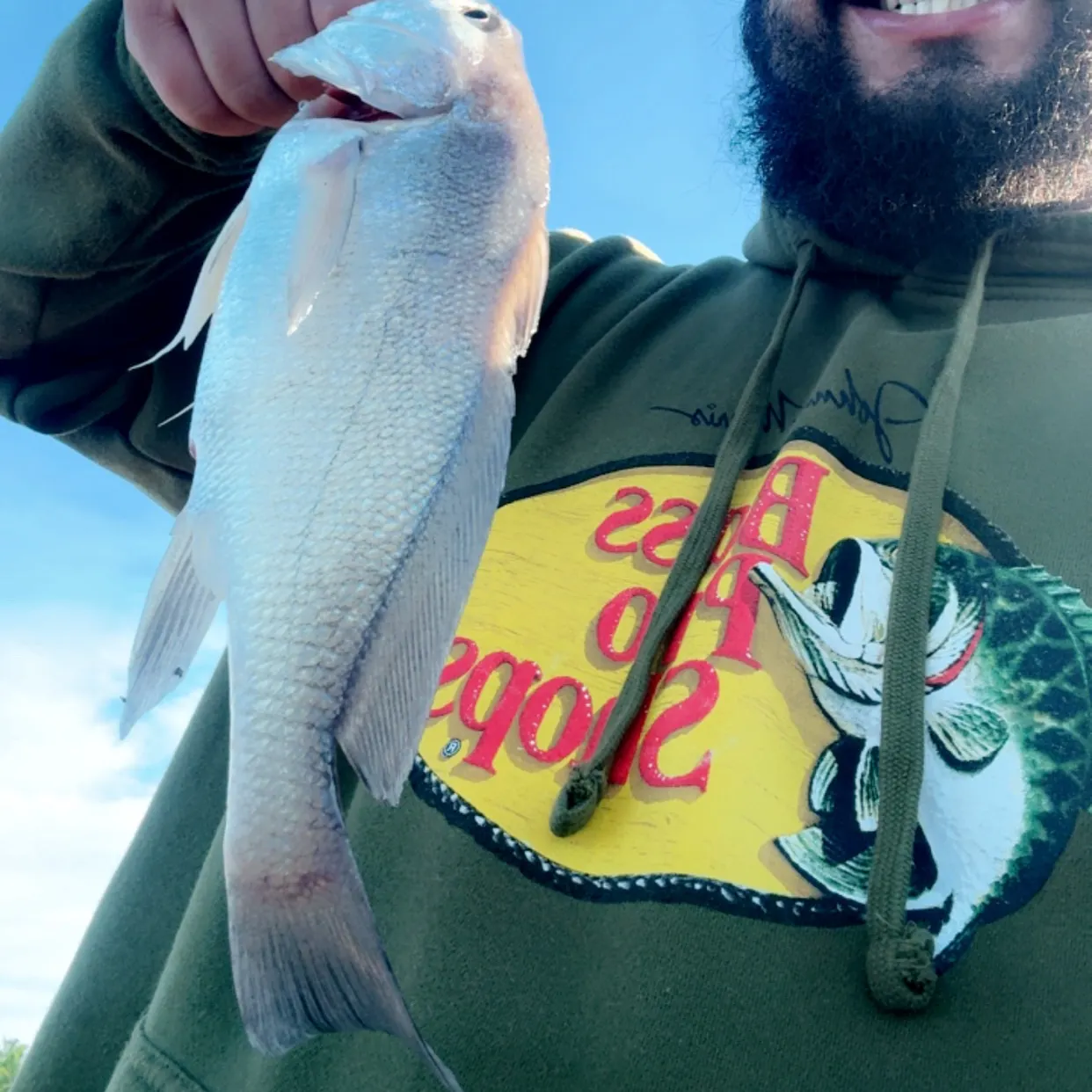 The most recent Freshwater drum catches on Fishbrain
