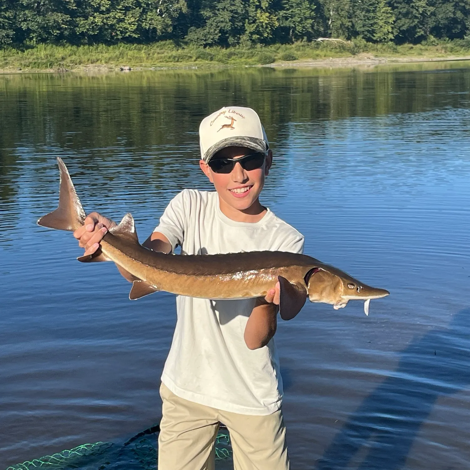 Lake sturgeon caught on Fishbrain