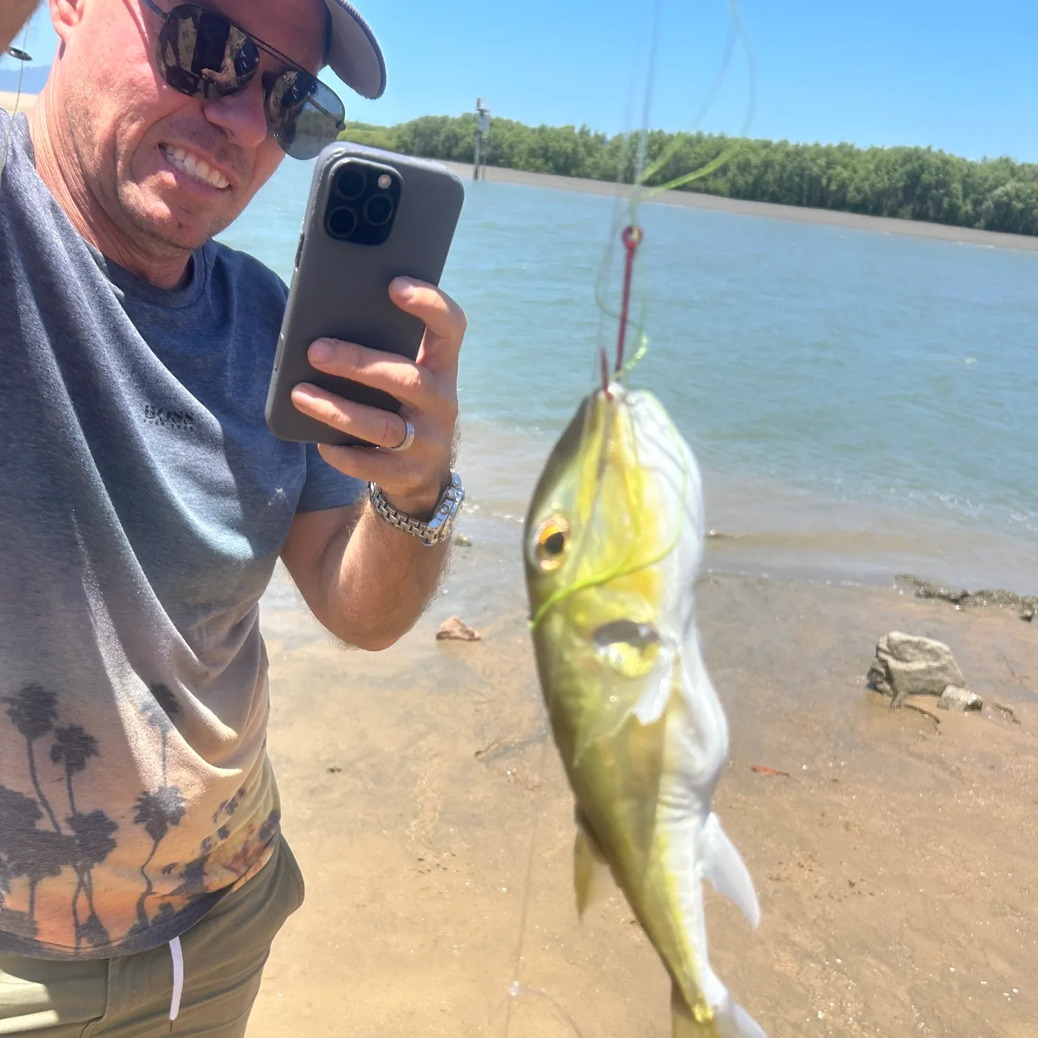 The most recent Common toadfish catches on Fishbrain