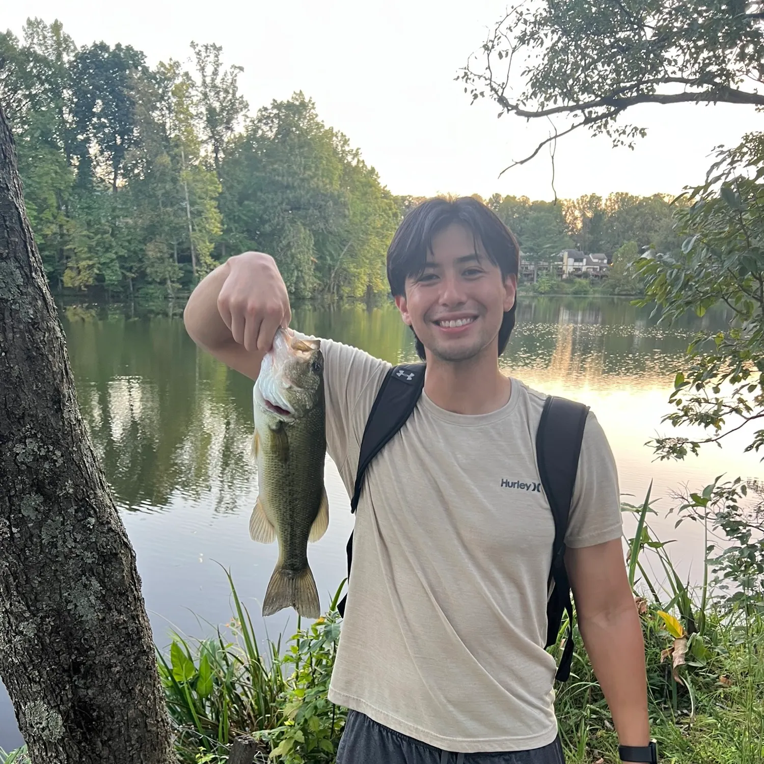Largemouth bass caught on Fishbrain