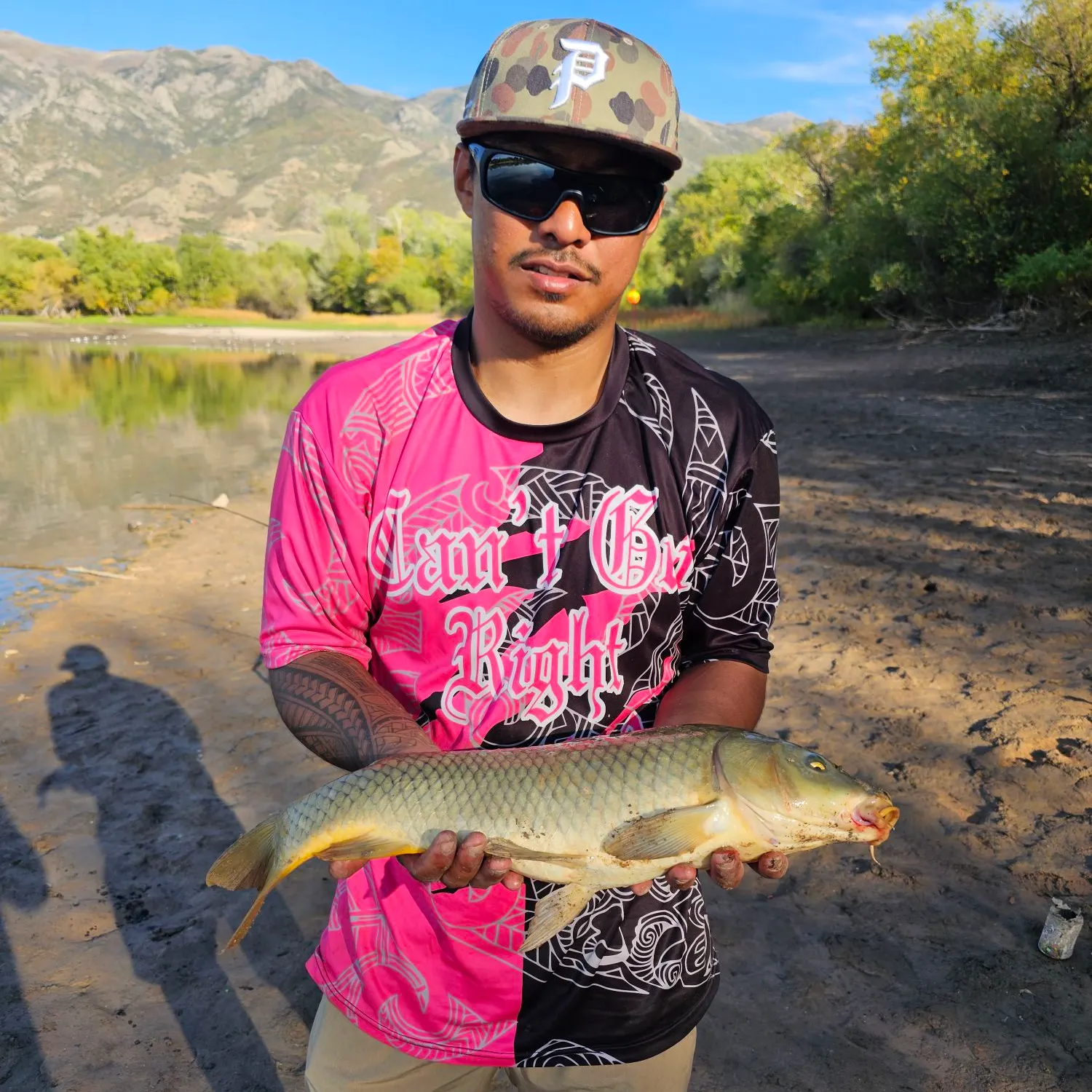 Common carp caught on Fishbrain