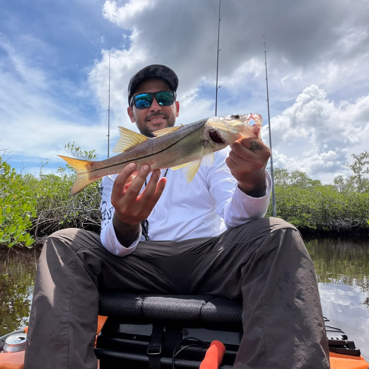 Common snook caught on Fishbrain