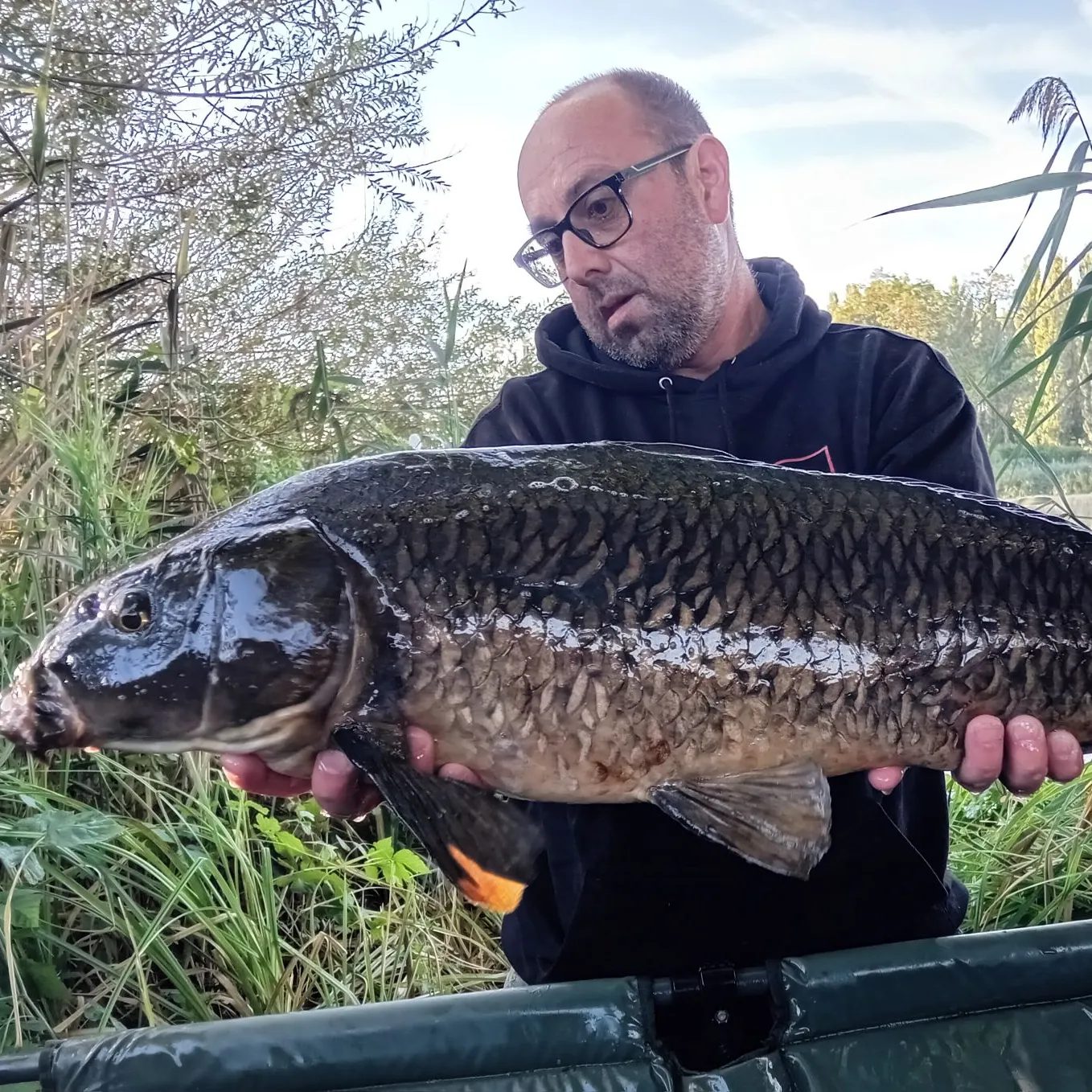 Common carp caught on Fishbrain