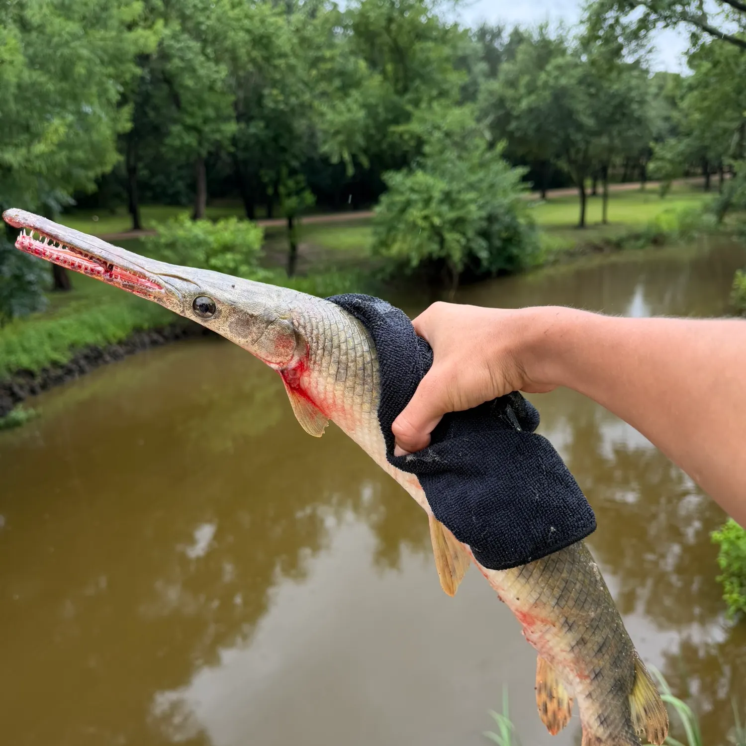 catch