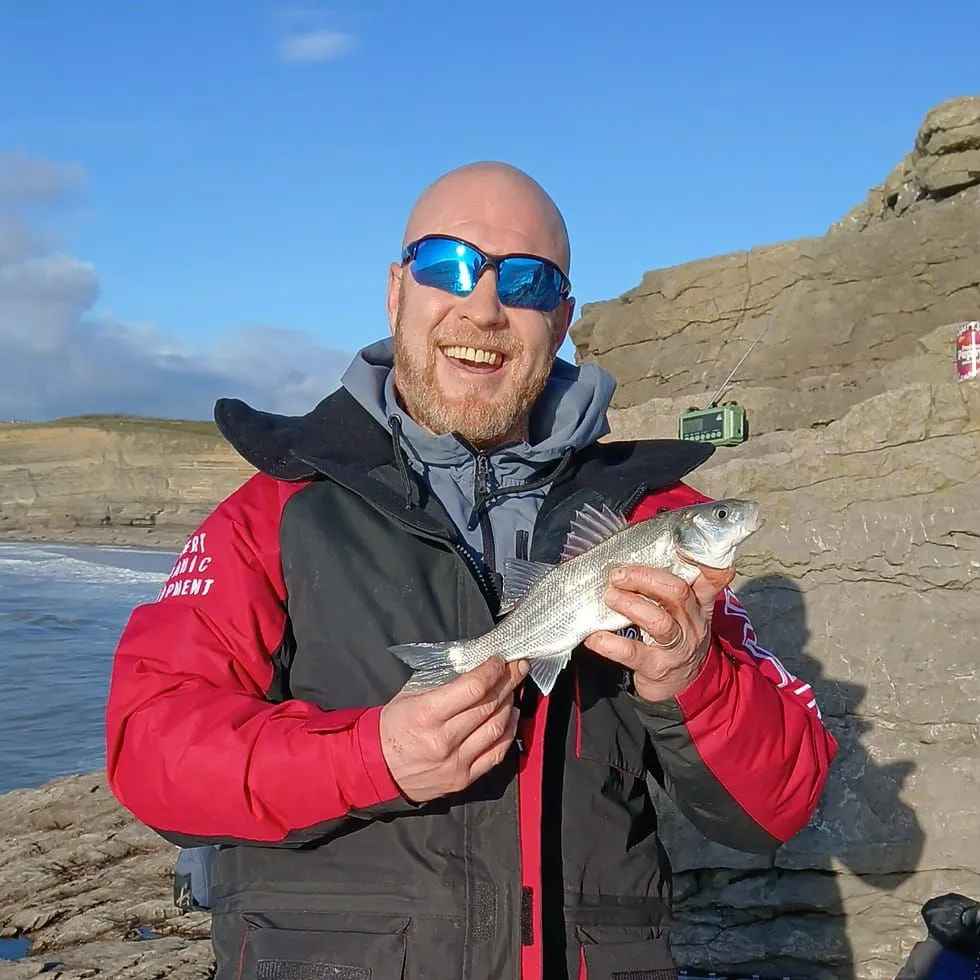 The most recent European seabass catches on Fishbrain