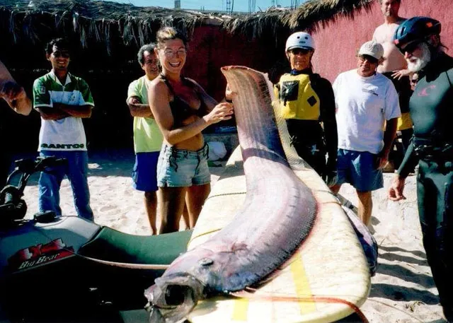 Giant oarfish