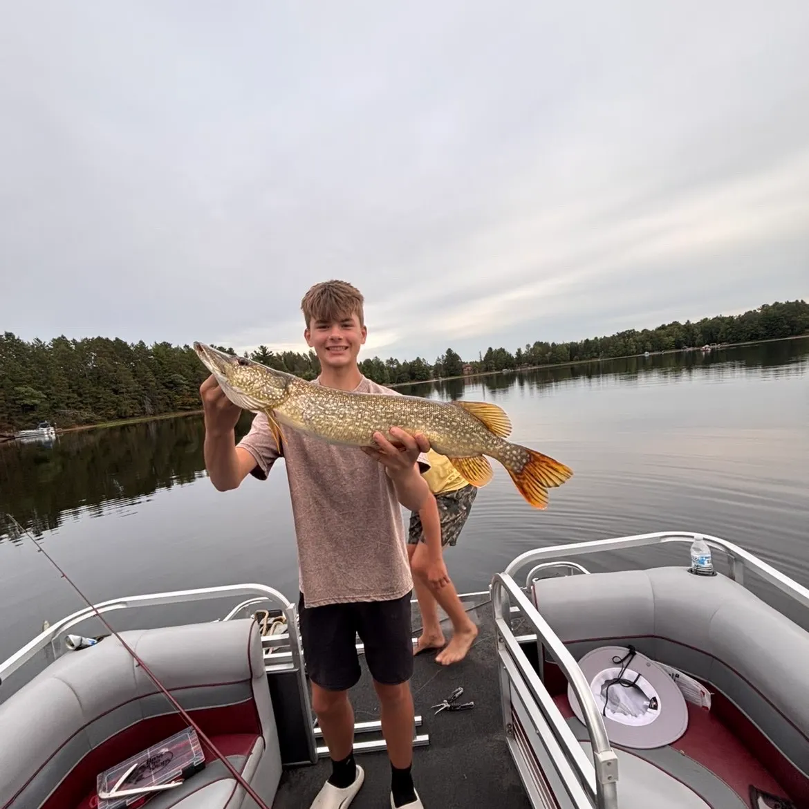 Northern pike caught on Fishbrain