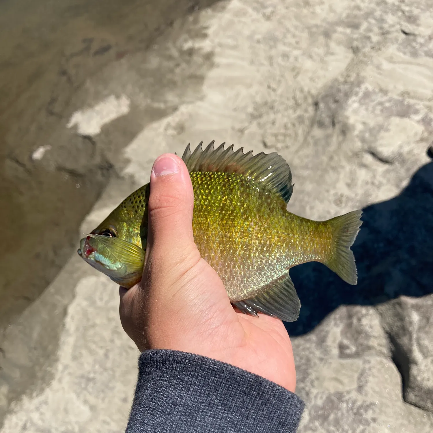 catch