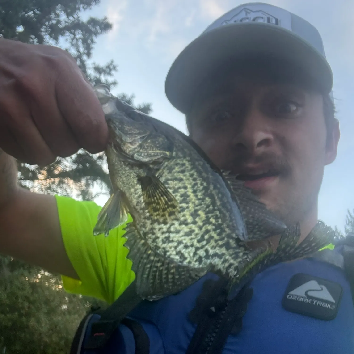 Black crappie caught on Fishbrain