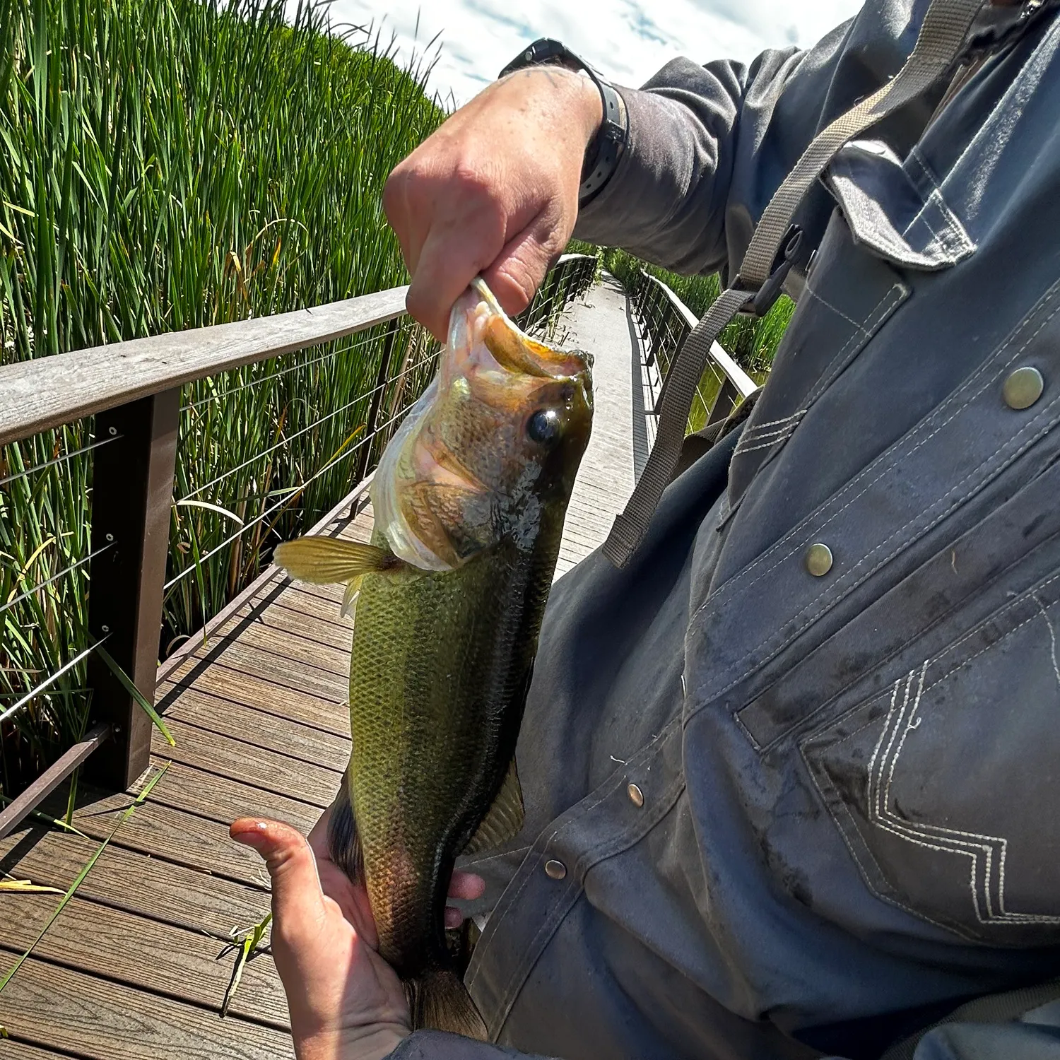 catch