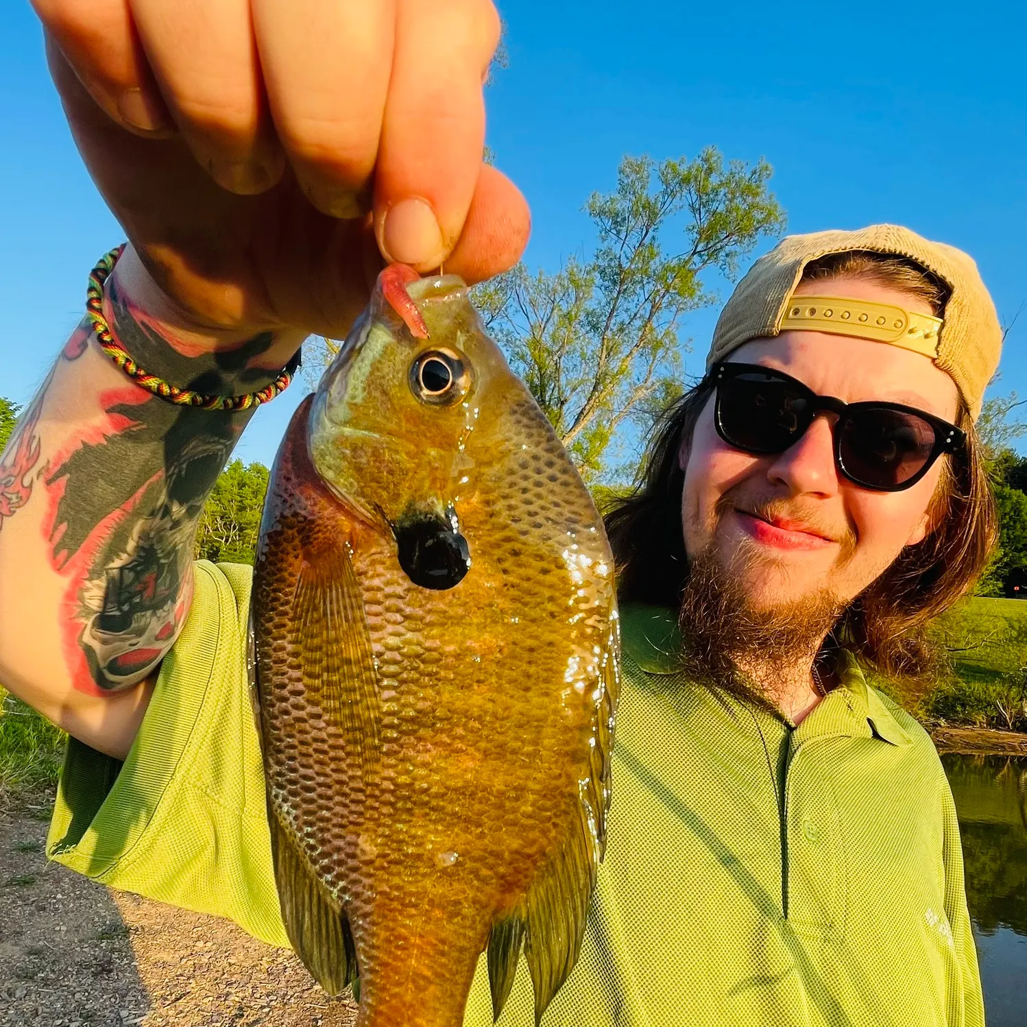 recently logged catches