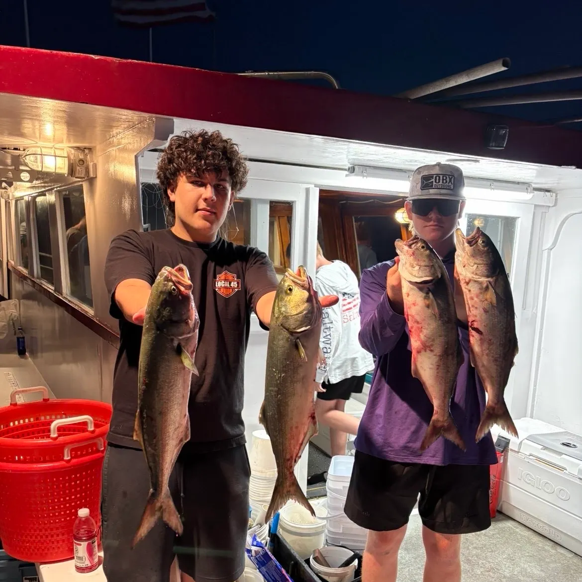 Bluefish caught on Fishbrain