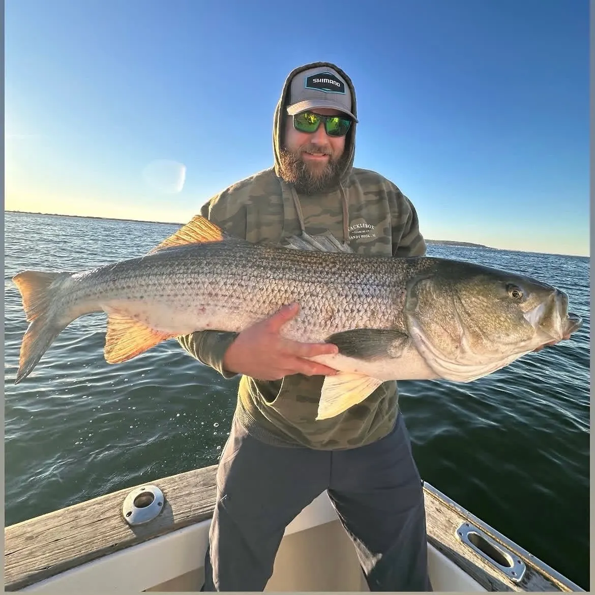 Striped bass caught on Fishbrain