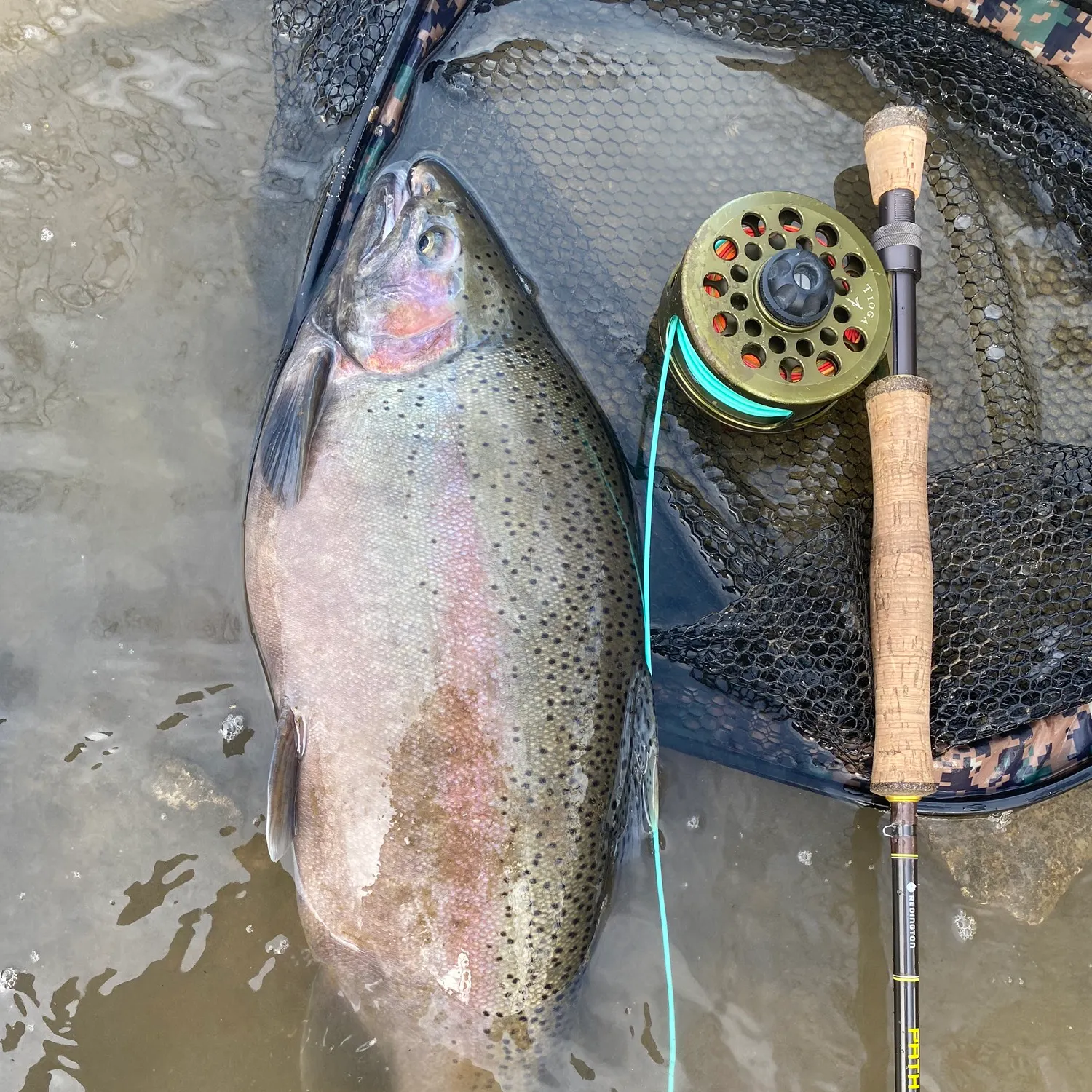 angler catch