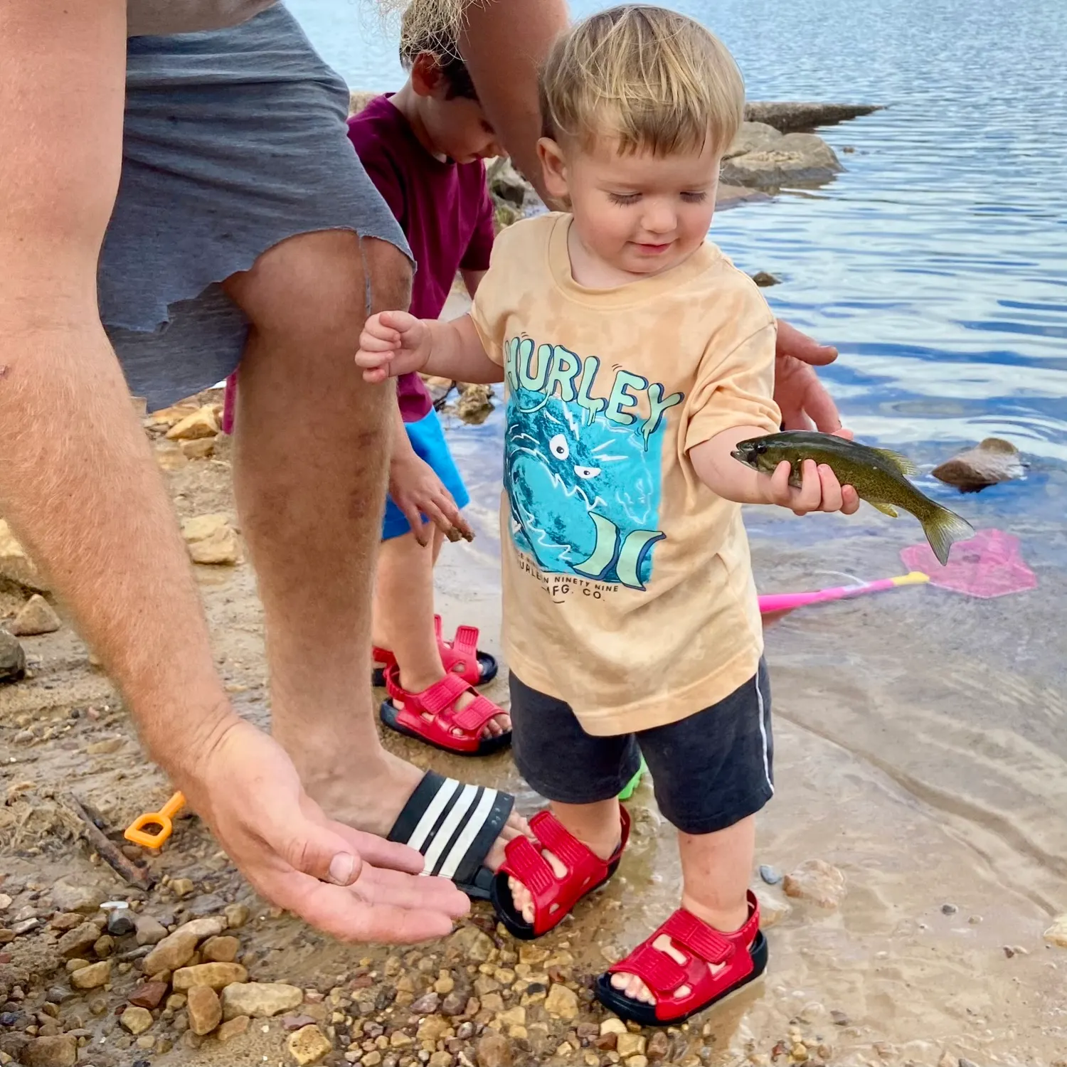 Smallmouth bass caught on Fishbrain