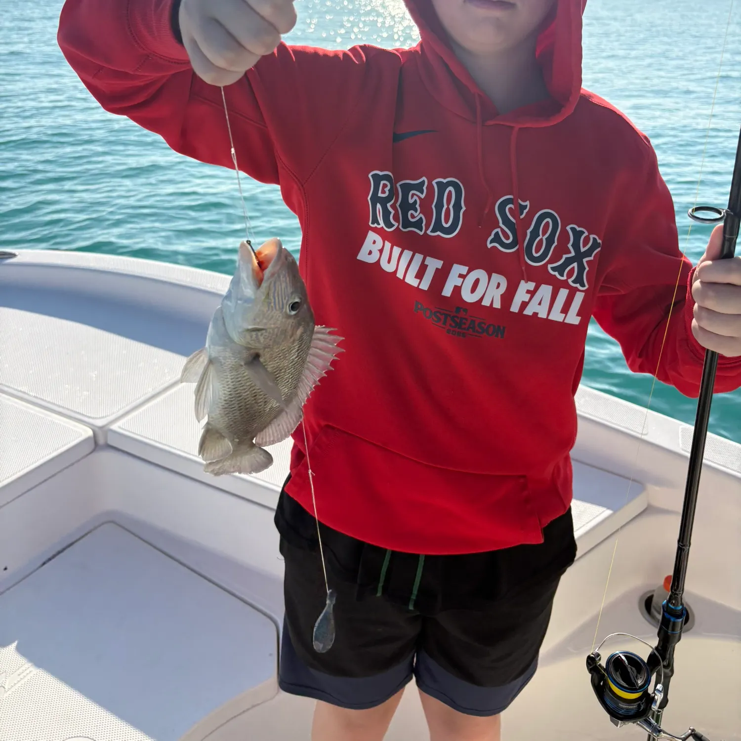 The most recent Silver grunt catches on Fishbrain