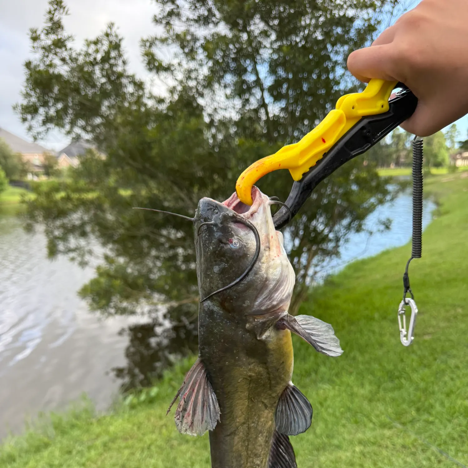 catch