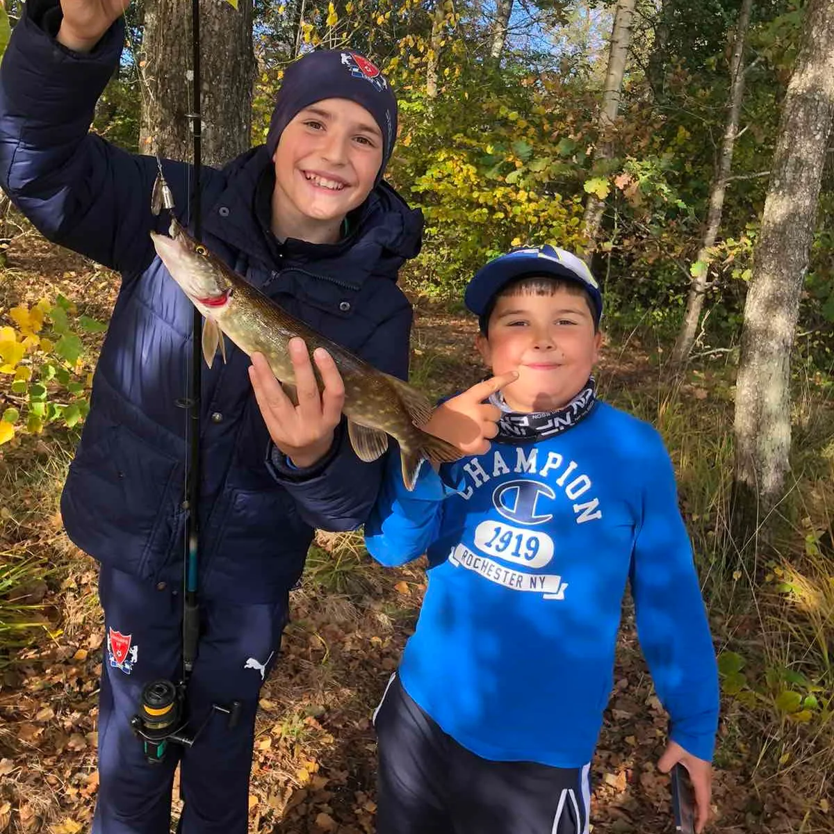 Northern pike caught on Fishbrain