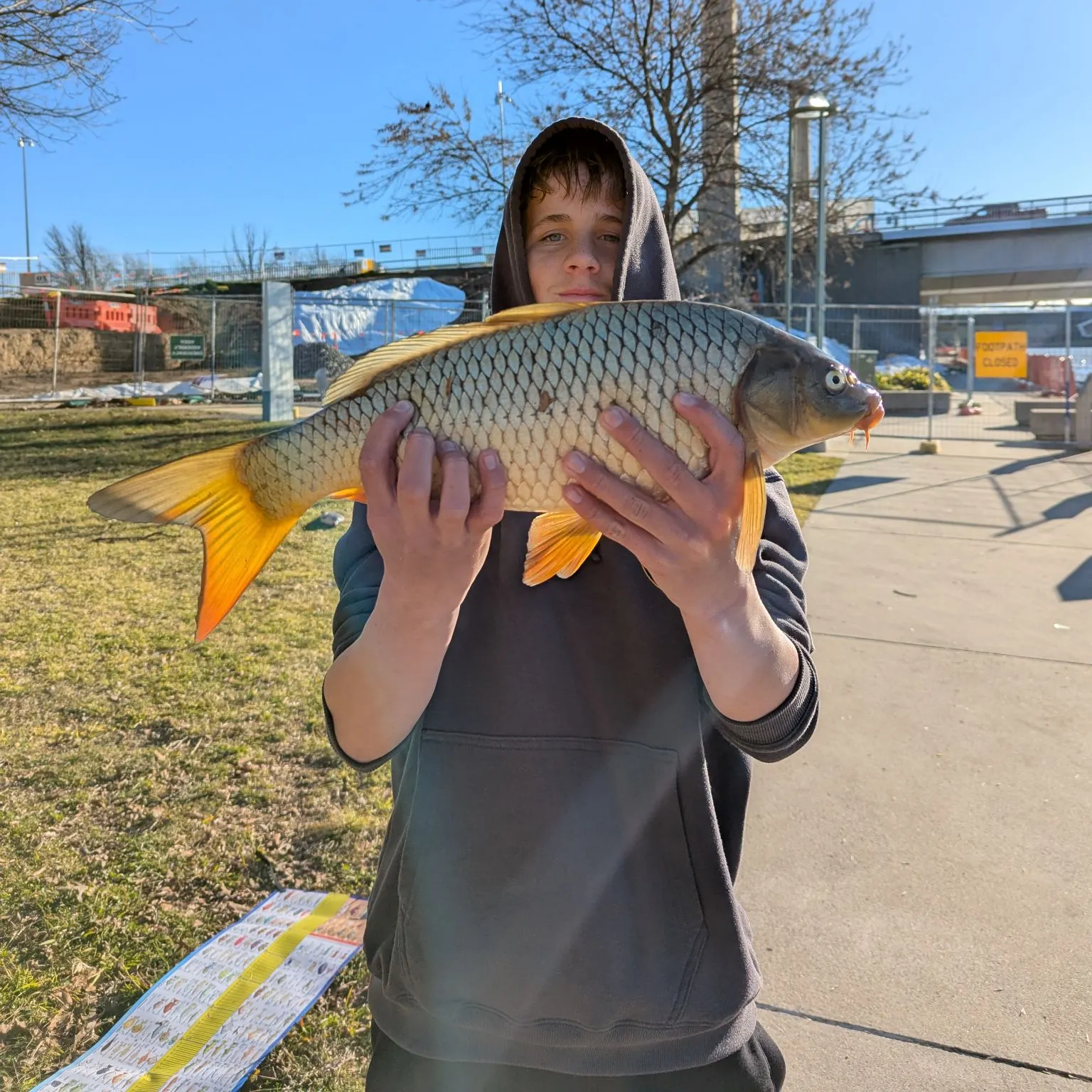 catch