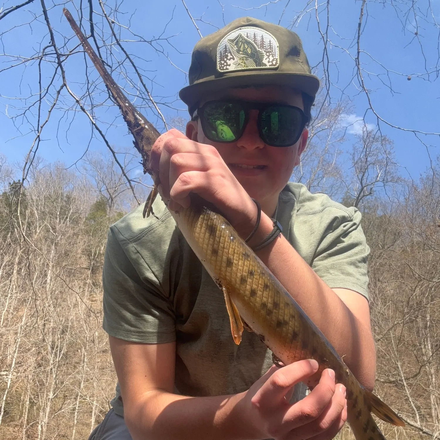 The most recent Spotted gar catches on Fishbrain